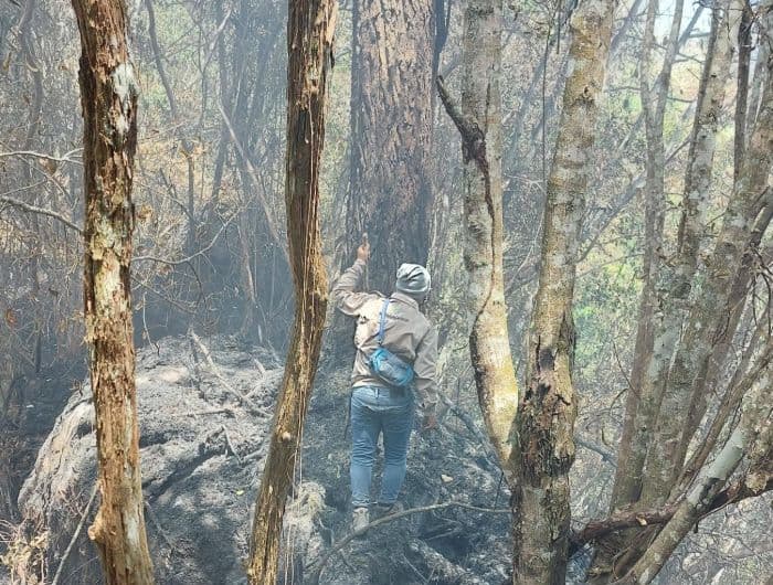karhutla_melanda_hutan_lindung_sibaganding_forkopimcam_simalungun_siaga
