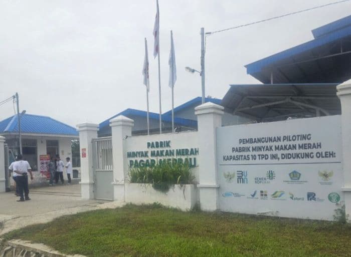 minyak_makan_merah_di_deli_serdang_kembali_diproduksi_akhir_agustus