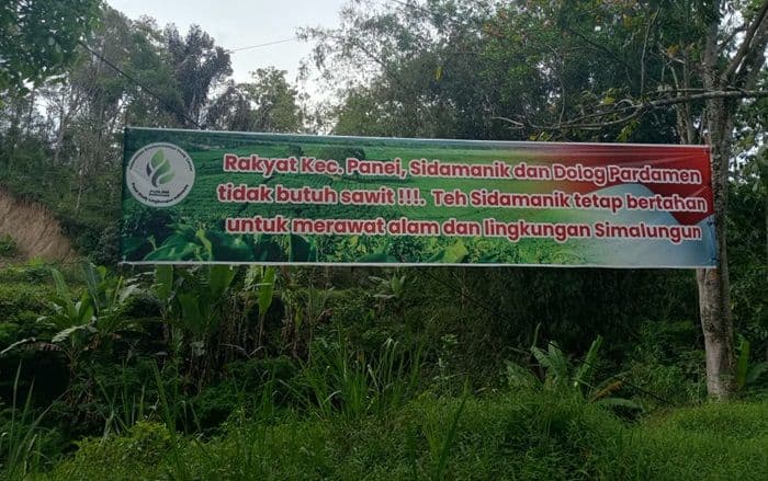 gelombang_penolakan_sawit_di_sidamanik_meluas_warga_tegas_pertahankan_kebun_teh