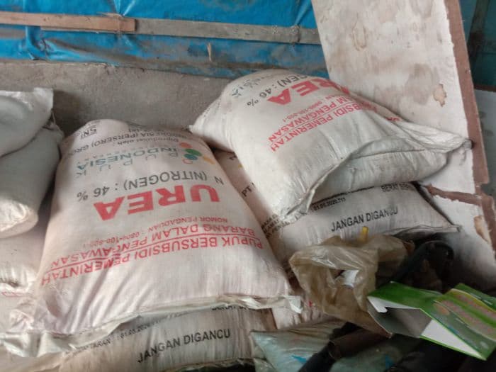 dinas_pertanian_toba_sosialisasikan_penurunan_harga_pupuk_bersubsidi_20_persen