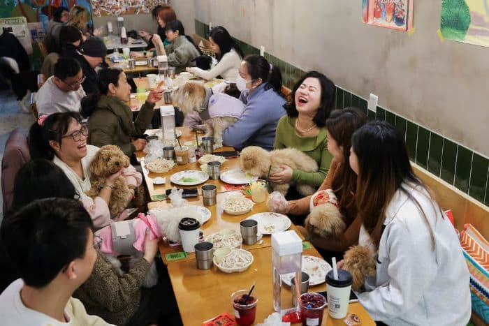 tradisi_unik_makan_bersama_anjing_kesayangan_jelang_tahun_baru_imlek