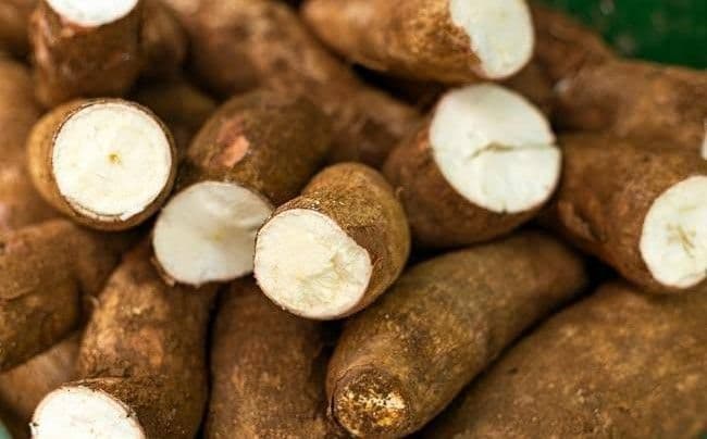 harga_ubi_kayu_di_siantar_masih_di_bawah_ketetapan_kementan
