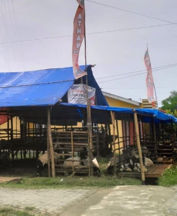 jelang_iduladha_banyak_pedagang_hewan_kurban_dadakan_di_hamparan_perak