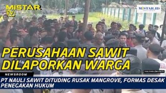 newsroom_pt_nauli_sawit_dituding_rusak_mangrove_formas_desak_penegakan_hukum