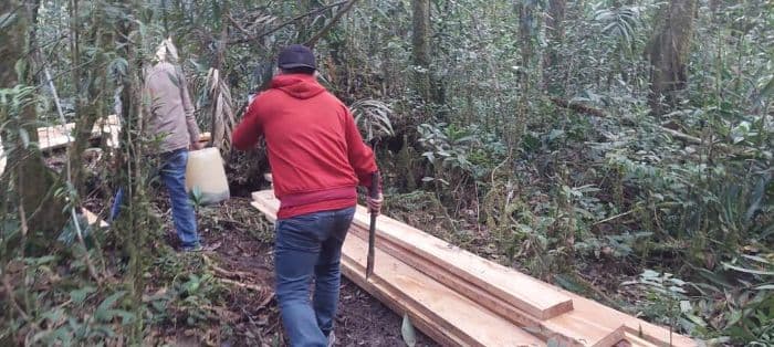 aktivis_desak_pemerintah_hentikan_perambahan_hutan_lae_pondom
