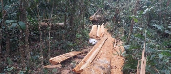 hutan_lae_pondom_dairi_dirusak_mafia_pemerintah_dinilai_abai