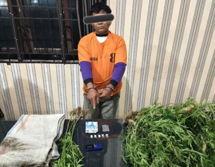 petani_di_karo_nekat_tanam_ganja_dan_edarkan_sabu_ditangkap_polisi