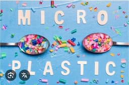 bahaya_mikroplastik_bagi_paruparu