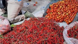 pemprov_sumut_intervensi_pasar_harga_cabai_merah_turun_ke_rp35_ribu_per_kilogram_