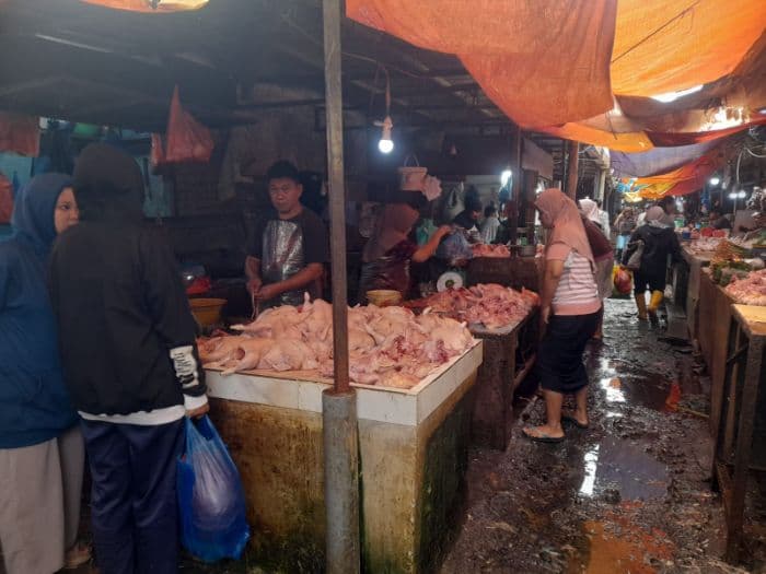 harga_daging_ayam_mulai_turun_di_siantar_pembeli_masih_mahal