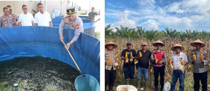 kali_ketiga_binaan_polres_batu_bara_panen_100_kg_ikan_lele