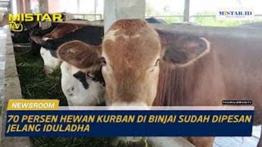 newsroom_70_persen_hewan_kurban_di_binjai_sudah_dipesan_jelang_iduladha