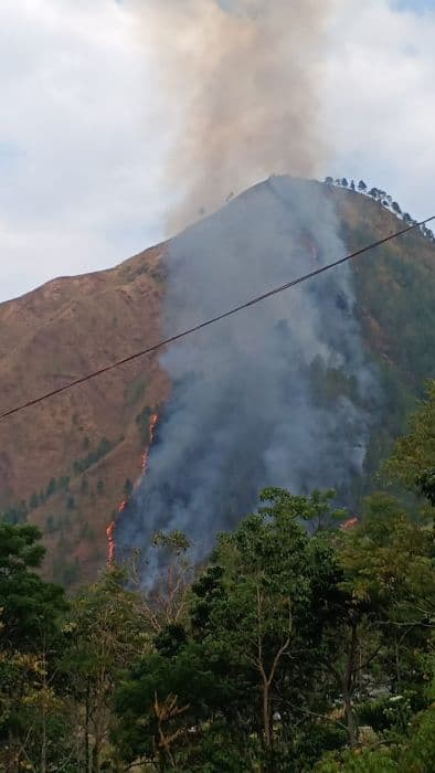 dolok_sipatungan_terbakar_warga_khawatir_api_meluas_ke_permukiman