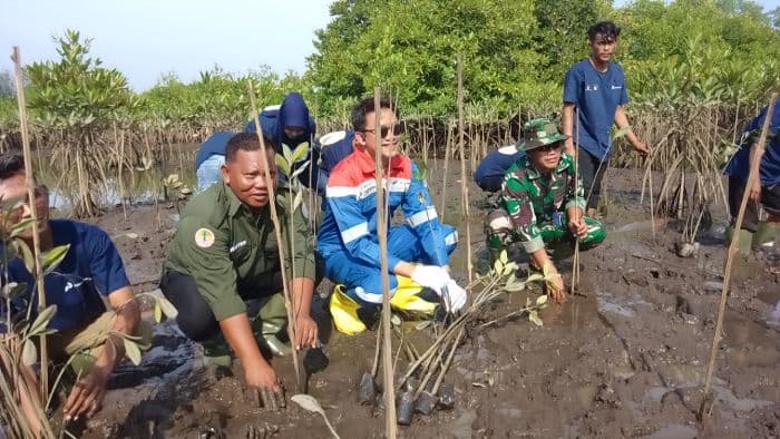 hari_mangrove_sedunia_kth_maju_bersama_tanam_seribu_bibit_di_langkat