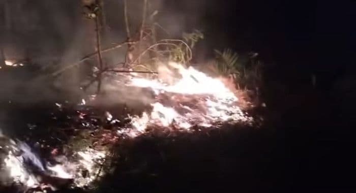 lahan_perkebunan_warga_di_langkat_kembali_terbakar
