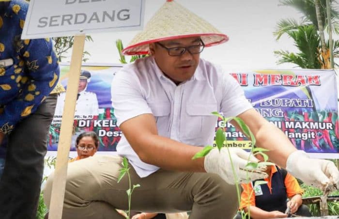 bupati_canangkan_sibolangit_jadi_sentra_cabai_pemkab_deli_serdang_siapkan_roadmap_dan_anggaran