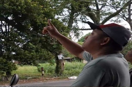 dprd_binjai_minta_peremajaan_pohon_usai_banyak_pemotor_jatuh_tertimpa_ranting