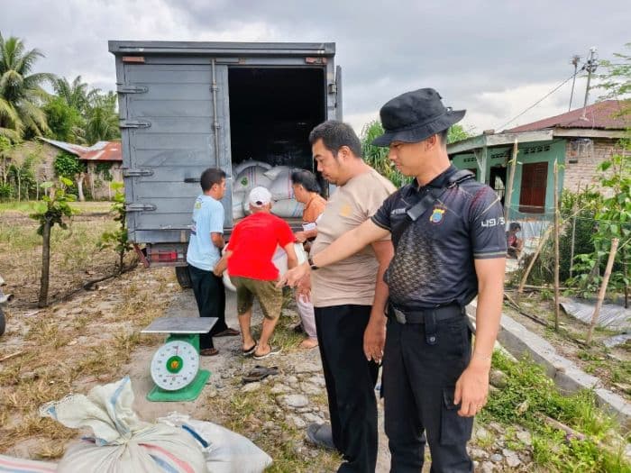 lahan_binaan_polres_batu_bara_hasilkan_405_ton_jagung_kering