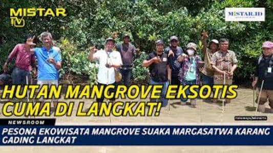 newsroom_pesona_ekowisata_mangrove_suaka_margasatwa_karang_gading_langkat