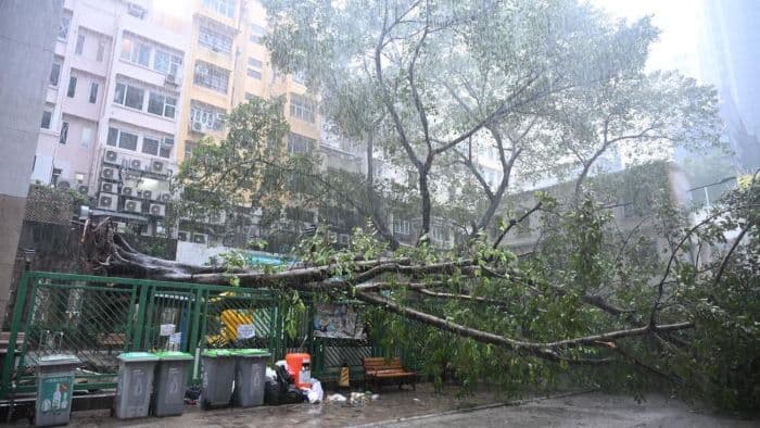 pemulihan_pascatopan_ragasa_di_guangdong_capai_90_persen