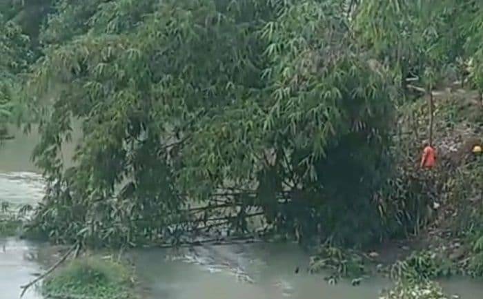 warga_pematangsiantar_protes_penebangan_bambu_di_tepi_sungai_takut_picu_banjir