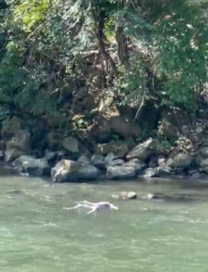 mayat_ditemukan_di_sungai_lae_kombih_diduga_korban_mobil_terjun
