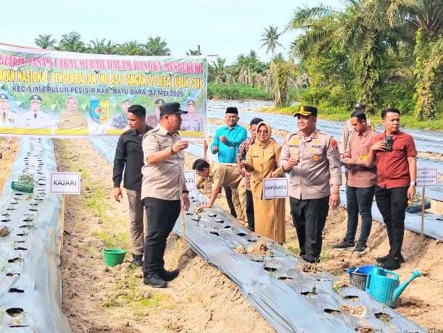 bupati_batu_bara_berjanji_bantu_petani_cabai_memperoleh_modal_usaha