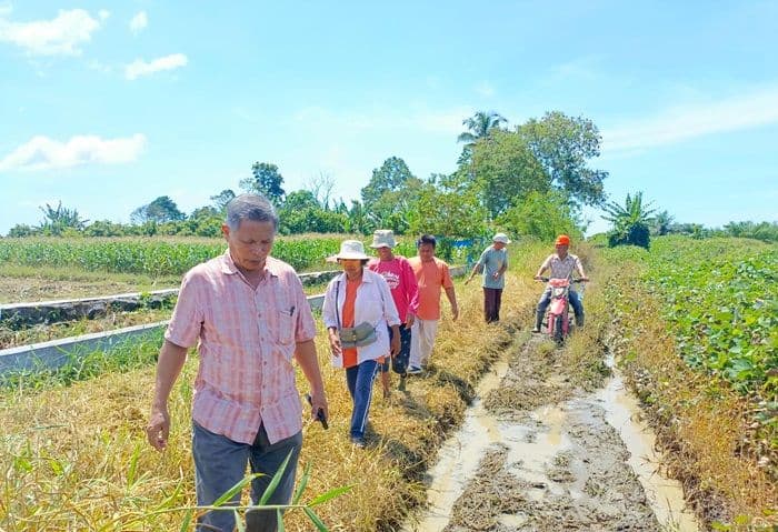 empat_tahun_jalan_pertanian_rusak_di_sidamanik_biaya_angkut_petani_melonjak