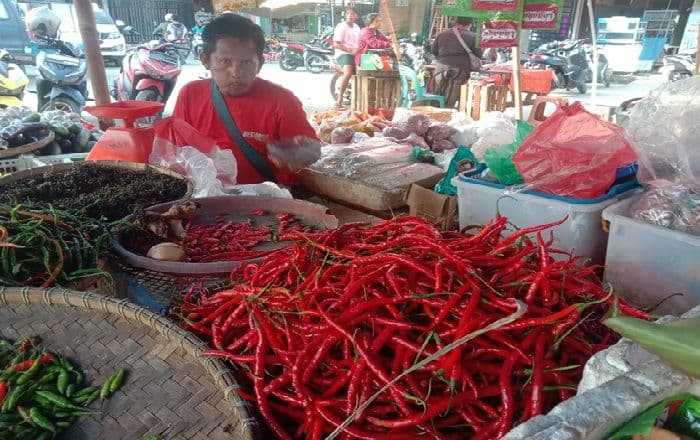 harga_cabai_merah_di_toba_turun_drastis_petani_pasrah_konsumen_senang