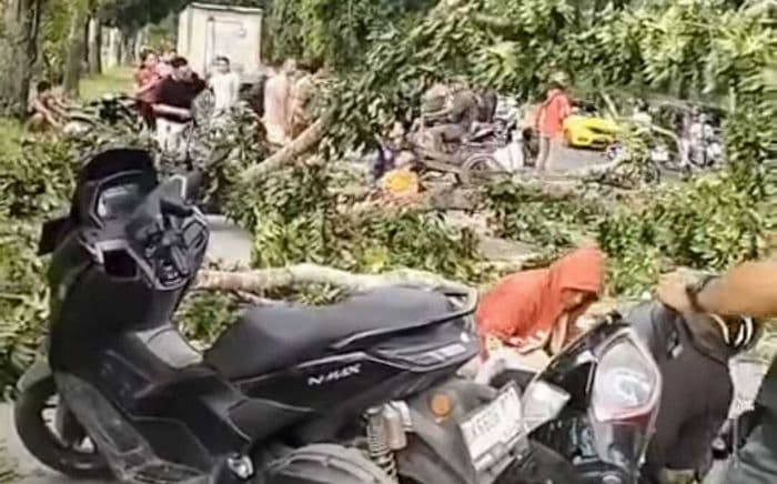detikdetik_pohon_patah_di_stabat_langkat_menimpa_sejumlah_pengendara