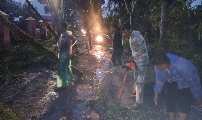 pohon_besar_tumbang_di_binjai_warga_minta_pemerintah_lakukan_peremajaan