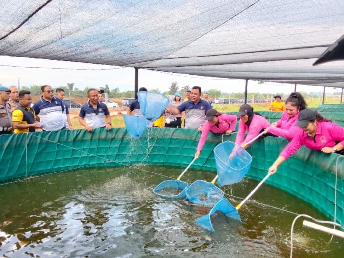 polda_sumut_panen_ribuan_lele_siapa_yang_kebagian