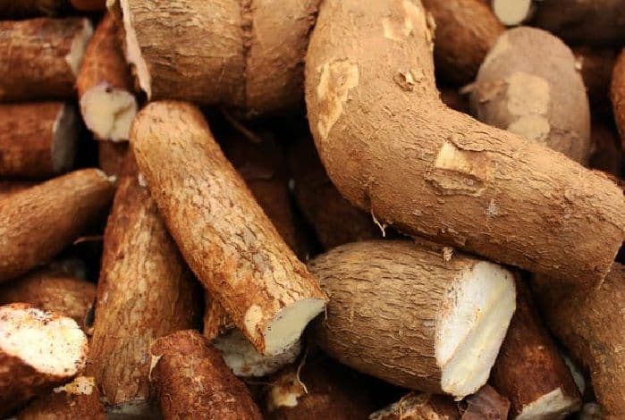 akademisi_soroti_impor_singkong_sebabkan_anjloknya_harga_di_simalungun