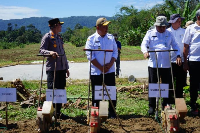 gerakan_tanam_jagung_25_hektar_di_kecamatan_simangumban_taput_diluncurkan