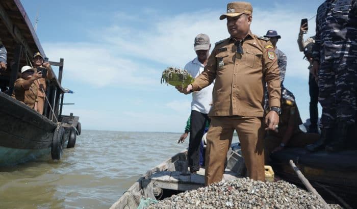 pemkab_asahan_tabur_200_ton_bibit_kerang_dara_di_pesisir_silo_baru