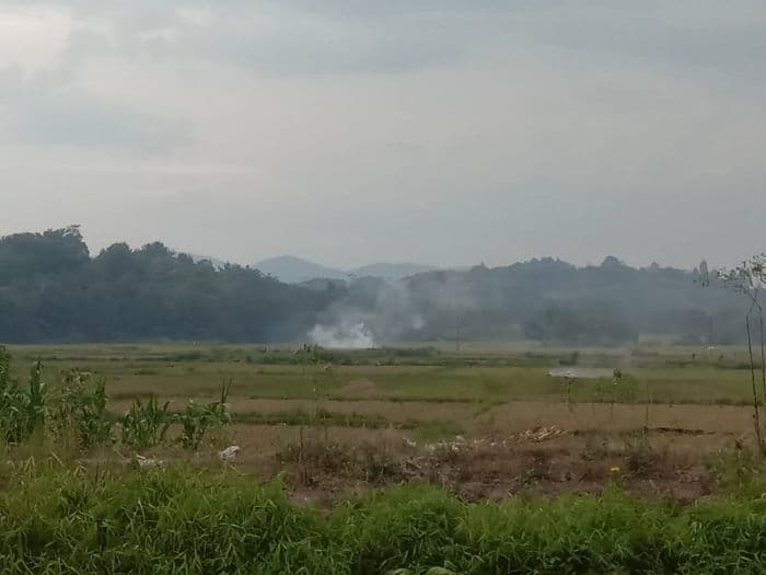 dampak_petani_bakar_jerami_kabut_asap_selimuti_toba