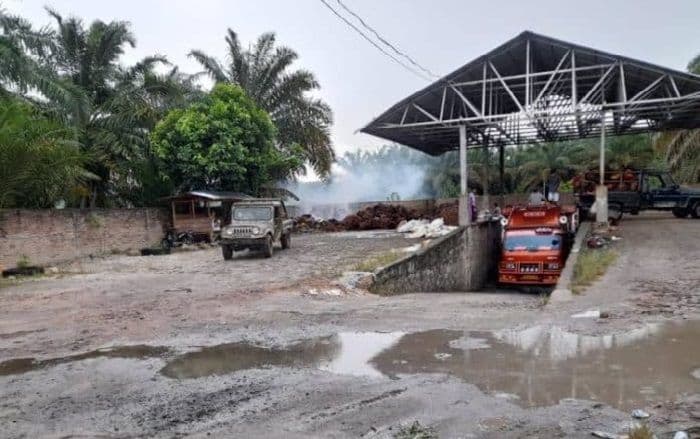 harga_sawit_naik_di_simalungun_tapi_petani_tetap_mengeluh_ini_penyebabnya