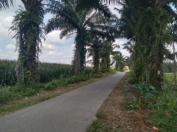 eks_karyawan_ungkap_dugaan_penguasaan_lahan_hgu_oleh_pihak_tak_berwenang