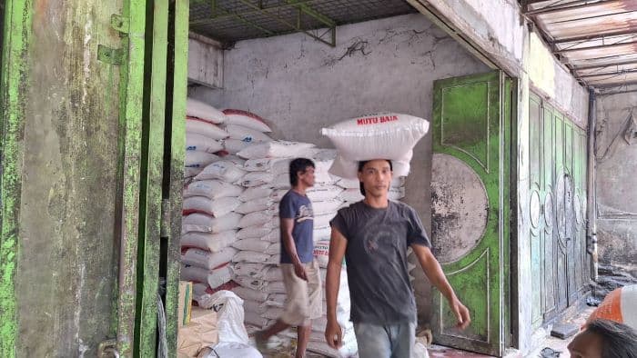 panen_raya_dorong_harga_beras_turun_di_kota_medan