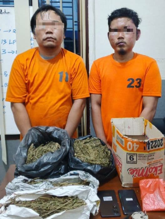 polisi_tangkap_sopir_truk_membawa_ganja_yang_tabrak_kapos_lantas_kualu_hulu
