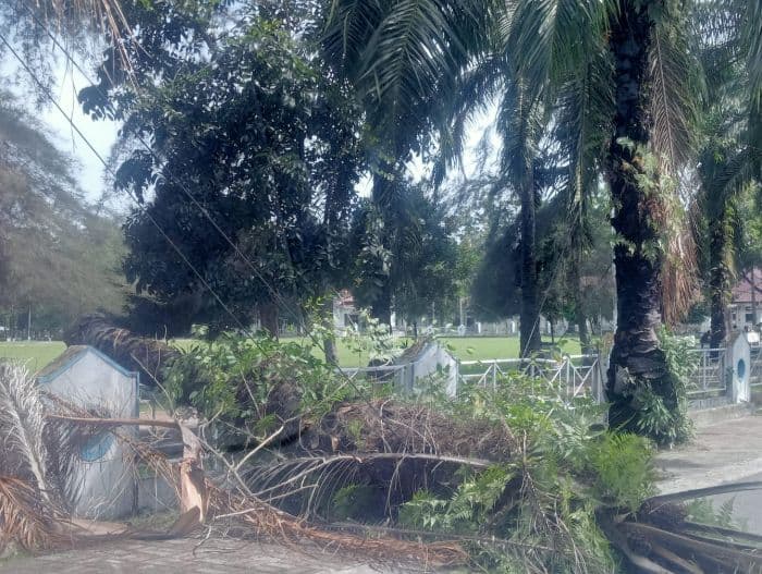 pohon_tumbang_di_area_kantor_bupati_deli_serdang_ini_kerusakannya