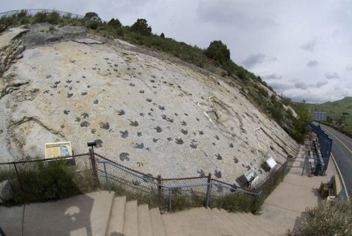 ada_temuan_baru_dari_jejak_kaki_dinosaurus_di_kanada
