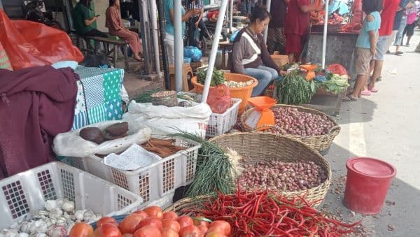 naik_jadi_rp56000kg_petani_di_toba_mulai_alihkan_fokus_dari_padi_ke_bawang