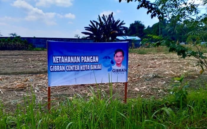 gibran_center_buka_lahan_ketahanan_pangan_60_hektare_di_binjai