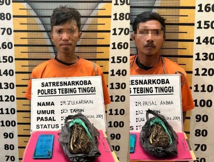 miliki_ganja_dua_pria_diringkus_polisi_di_sergai
