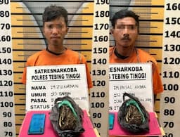 miliki_ganja_dua_pria_diringkus_polisi_di_sergai