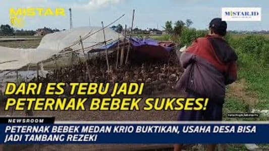 newsroom_peternak_bebek_medan_krio_buktikan_usaha_desa_bisa_jadi_tambang_rezeki