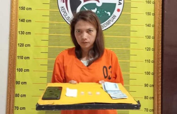 edarkan_sabu_irt_asal_padangsidimpuan_diamankan_polisi