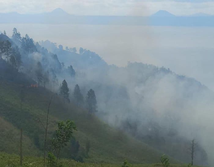 kebakaran_hutan_di_samosir_hampir_terkendali_tersisa_satu_titik_api_di_pusuk_buhit