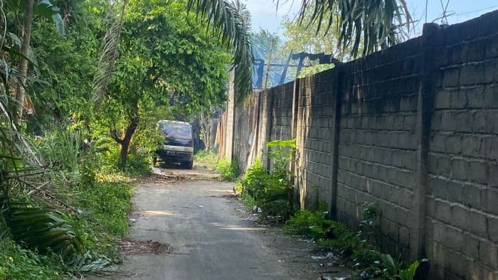 ternak_lele_dikeluhkan_warga_camat_binjai_barat_akan_tinjau_lokasi